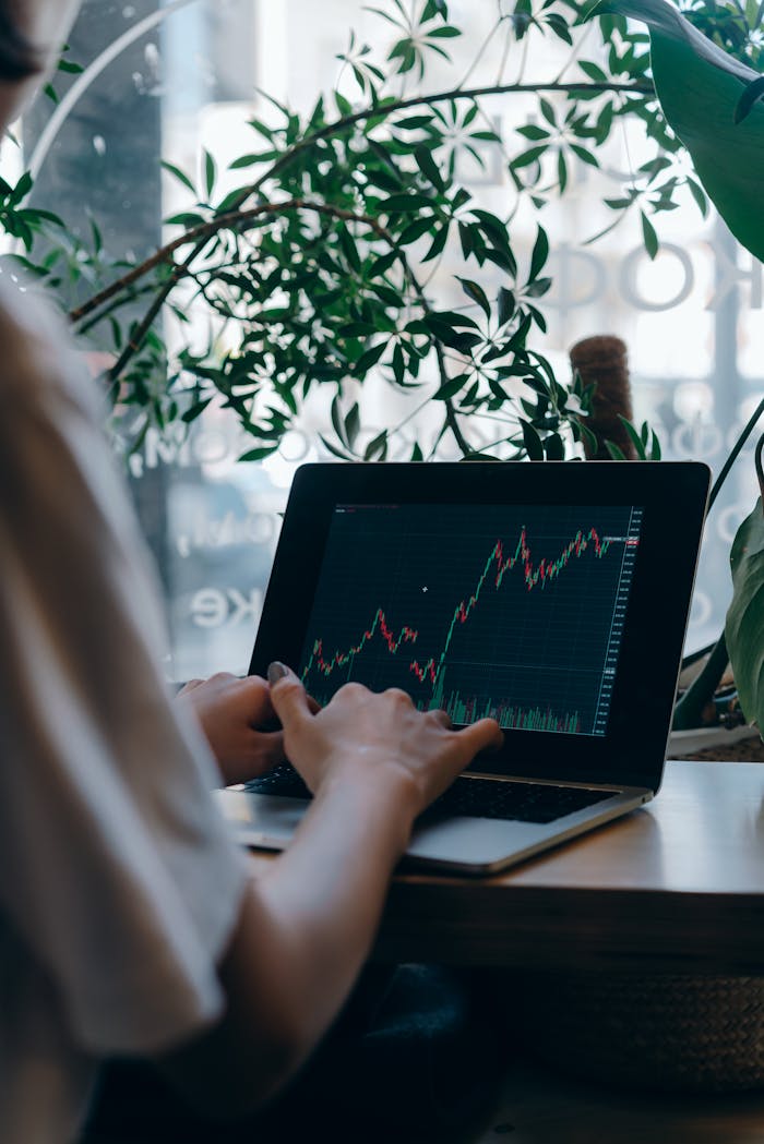 An individual analyzing stock market trends on a laptop in a cozy indoor setting with plants.